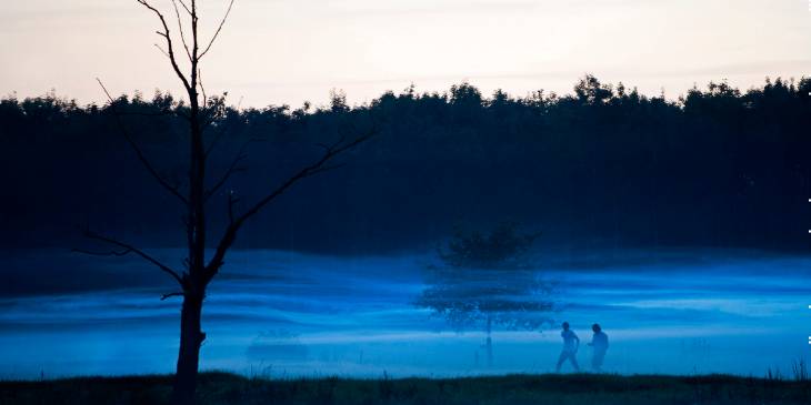 Wandelen in de unieke natuur van Friesland