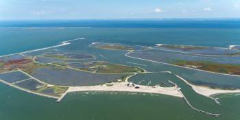 Marker Wadden, natuur in ontwikkeling (2)