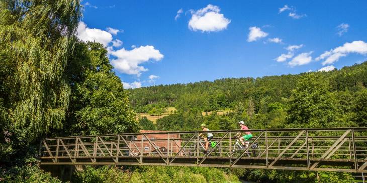 Duitsland Fietsen zwarte Woud RonReizen