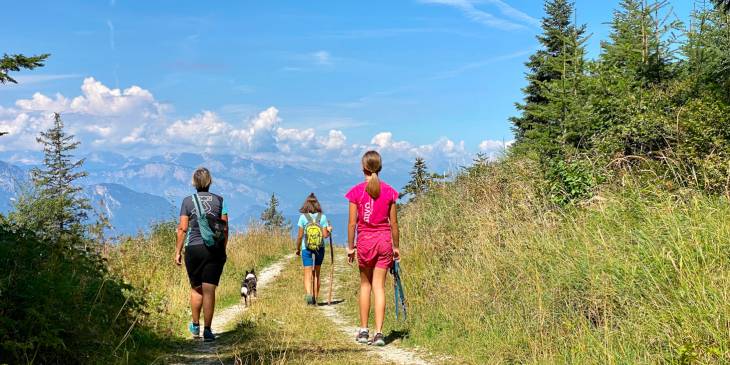 Valsugana: rondje langs de boeren op hoogvlakte Vezzena