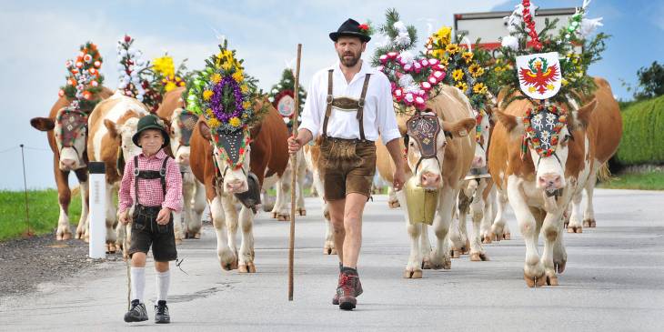 5 x Almabtrieb festival in Tirol