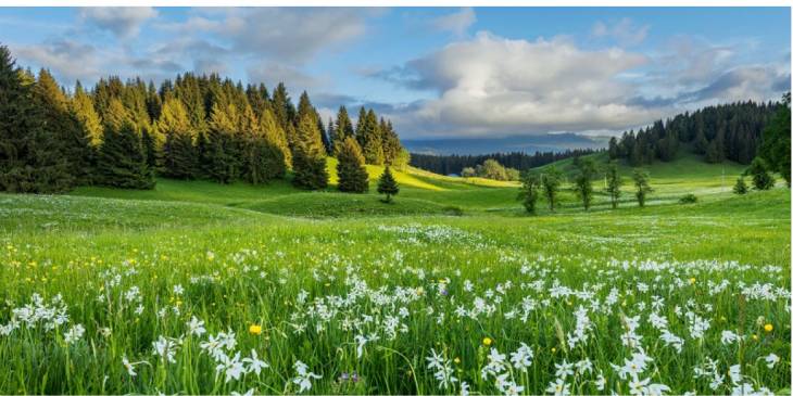 lente-in-montagnes-du-jura