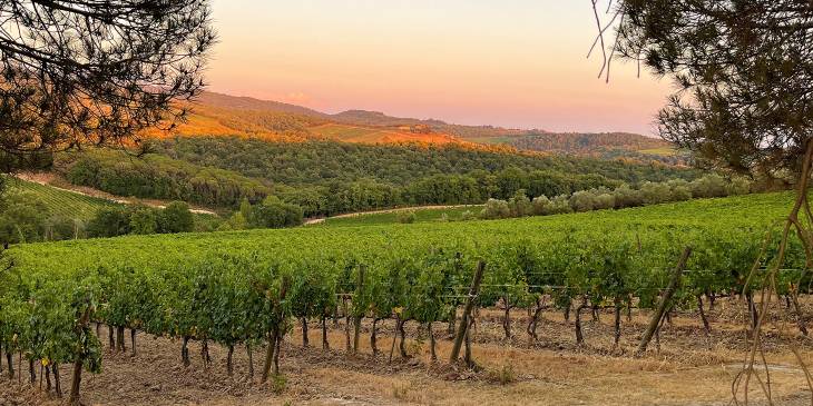 Zonsondergang over Castellina in Chianti en de wijngaarden