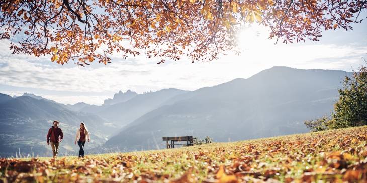 Italië Zuid-Tirol Törggelen vijfde seizoen herfst RonReizen.nl wandelen
