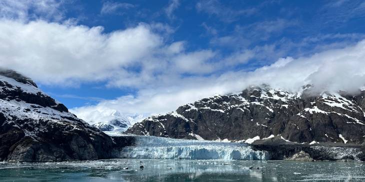VS Alaska Holland America Line cruise RonReizen.nl Margerie Glacier, Glacier Bay, Alaska