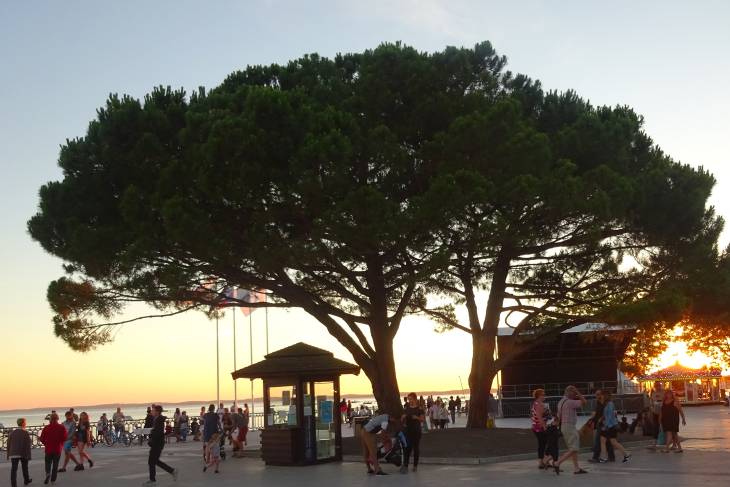 Boulevard Andernos