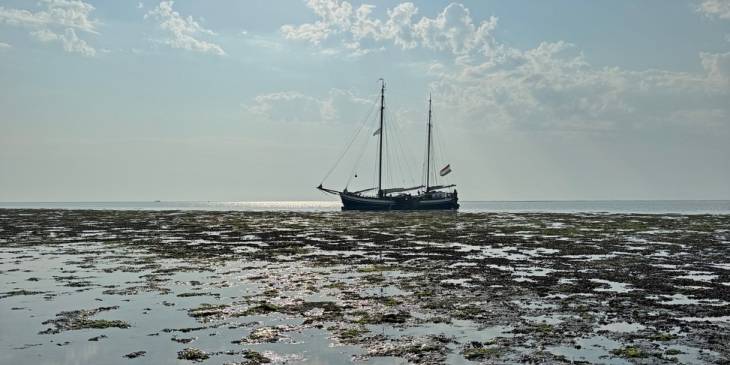 droogvallen waddenzee zeilboot