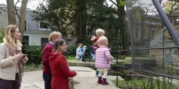 Jaguars als buren