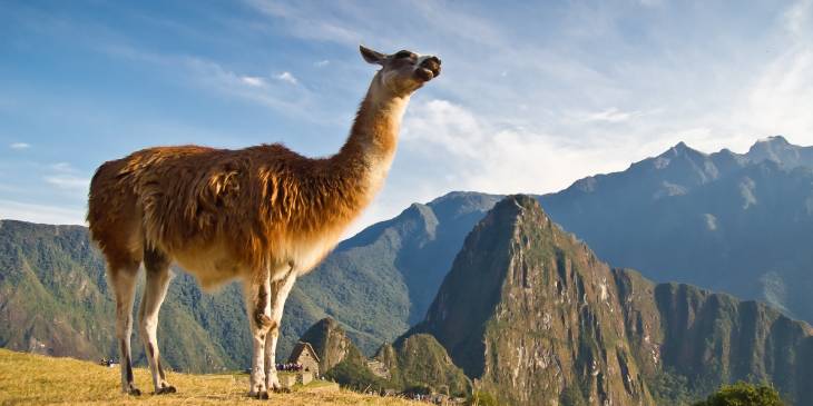 Peru nieuws RonReizen.nl