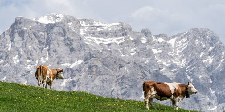 Oostenrijk Tiroler Zugspitz Arena lente wandelen RonReizen.nl