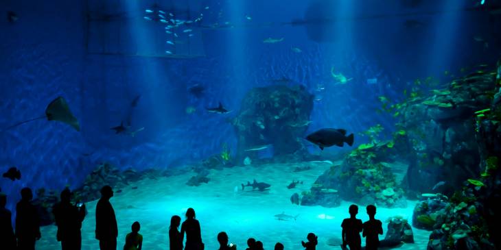 Blue Planet