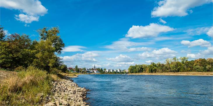 De Elbe