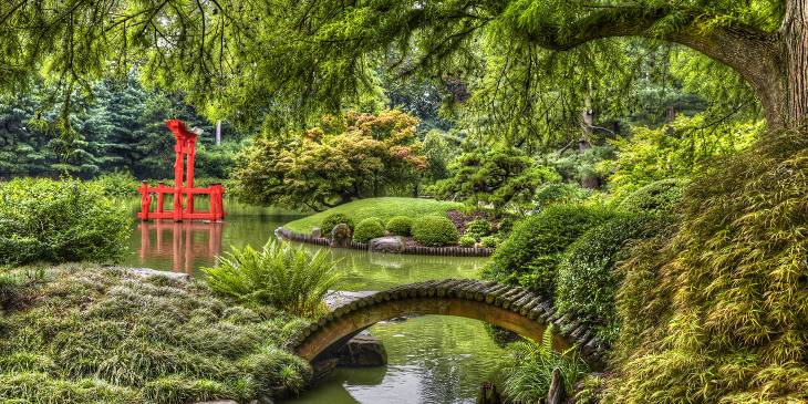 Botanische tuin