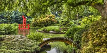 Botanische tuin
