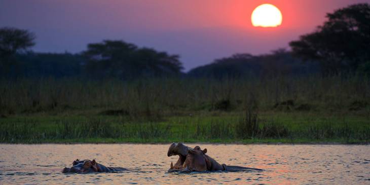 Liwonde National Park, Malawi