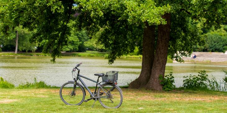Fietsen in Nedersaksen