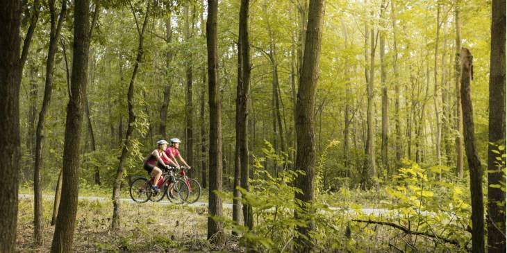 Fietsvakantie langs rivier de Morava in Tsjechië