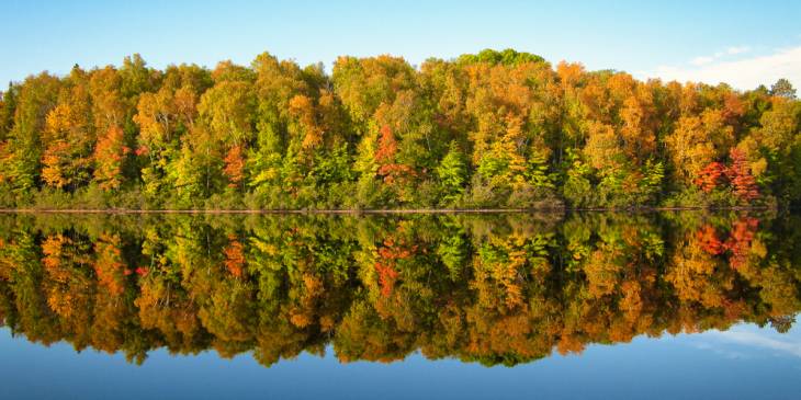 Minnesota gehuld in herfstkleuren