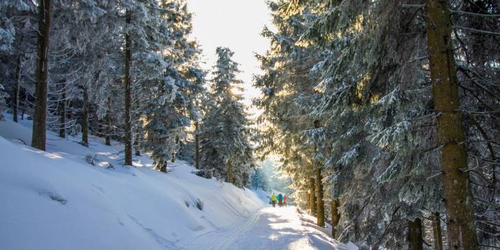 Top Trails Germany