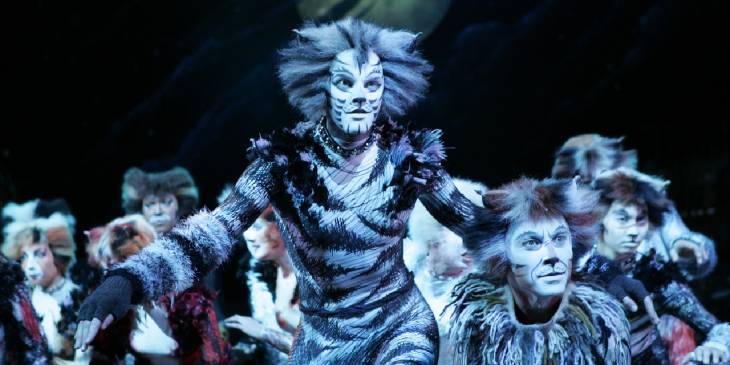 Cats - RonReizen